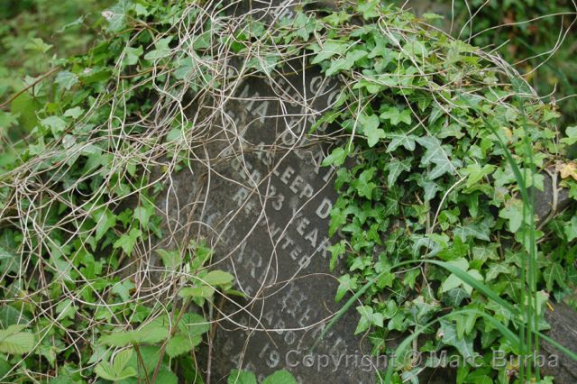 Arnos Vale gravestone