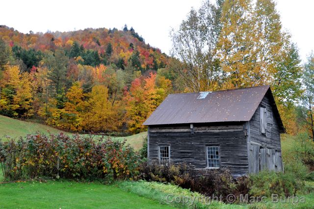 Vermont farm fall foliage