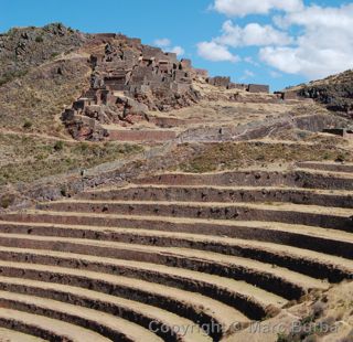 Inca terraces