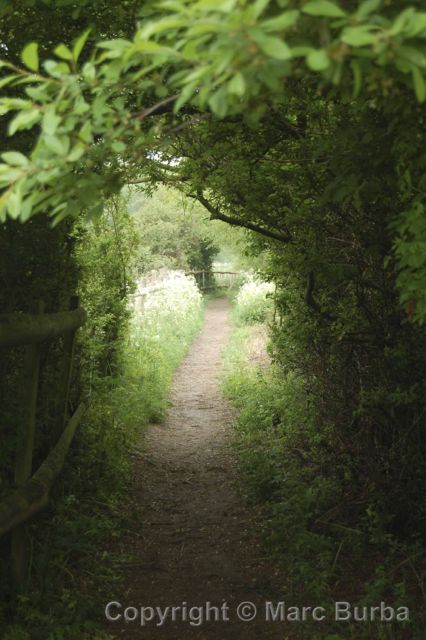 River Avon Trail