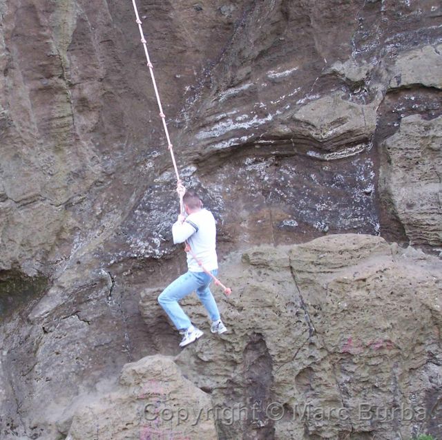 Scaling, Heimaey, Iceland