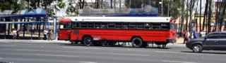 red devil bus
