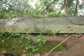 Arnos Vale tomb