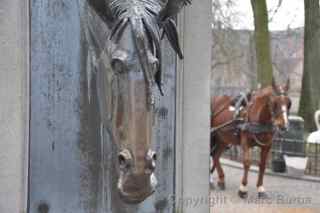 Bruges Belgium horse fountain