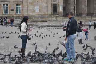 Plaza de Bolívar pigeons