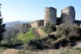 Yoros Castle