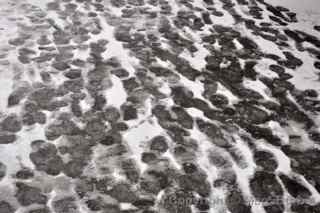 snow footprints