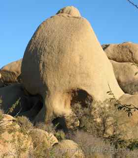 Joshua Tree Skull Rock