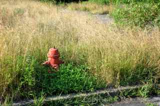 Centralia, Pa., fire hydrant