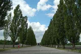 Dachau concentration camp road