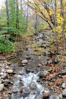 Maine creek