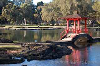 Hilo Bay park
