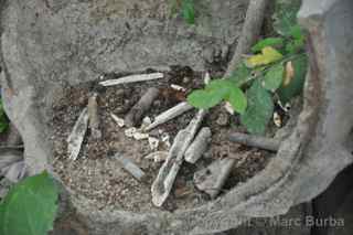 Choeung Ek Genocidal Center, killing fields bone fragments, Cambodia