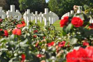 Lorraine American Cemetery flowers