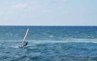 Hookipa Beach windsurfer