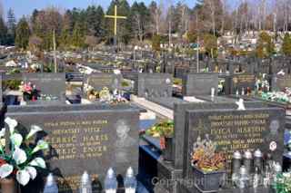 soldiers graves