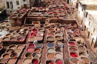 Fez tannery, Fez Morocco