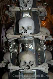 Sedlec Ossuary skull