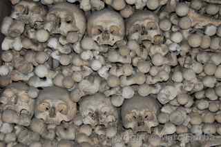 Sedlec Ossuary skulls