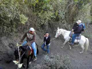 pacaya horse ride