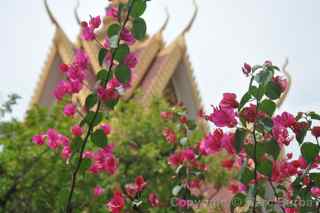 Phnom Penh Cambodia silver pagoda