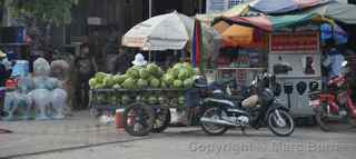 coconuts, Siem Reap Cambodia