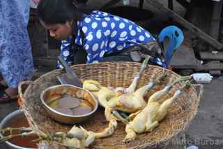 fowl, Siem Reap Cambodia