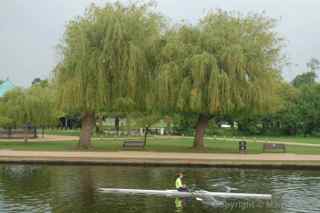 River Avon rower