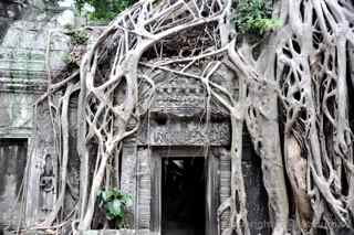 Ta Prohm, Cambodia, doorway