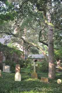 Calvary Churchyard Tarboro