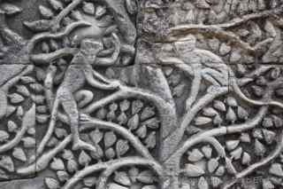 Angkor Thom bas relief monkeys