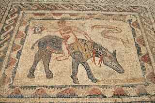 Volubilis mosaic Morocco