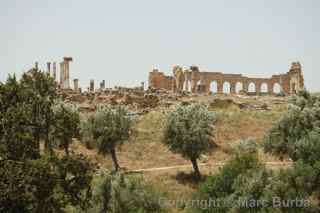 Volubilis roman ruins