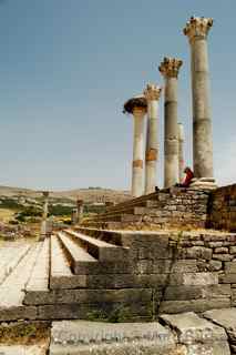 Volubilis roman ruins